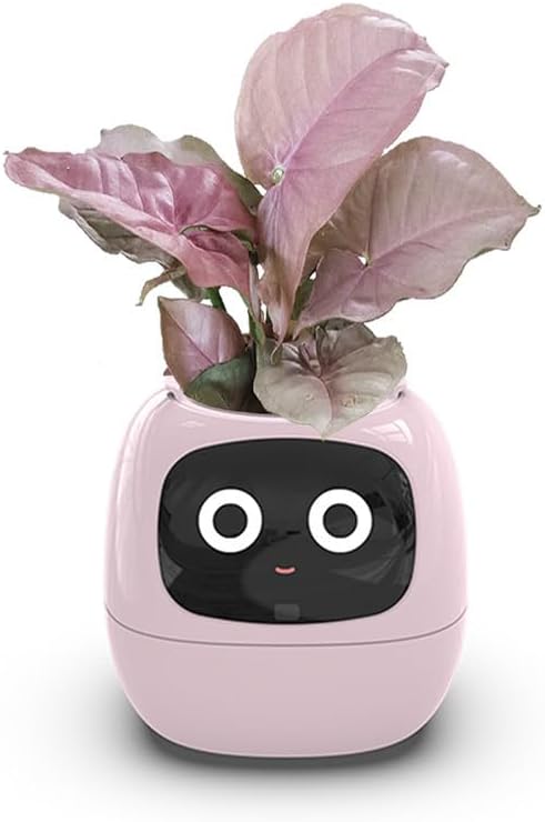 HappyPlanty
