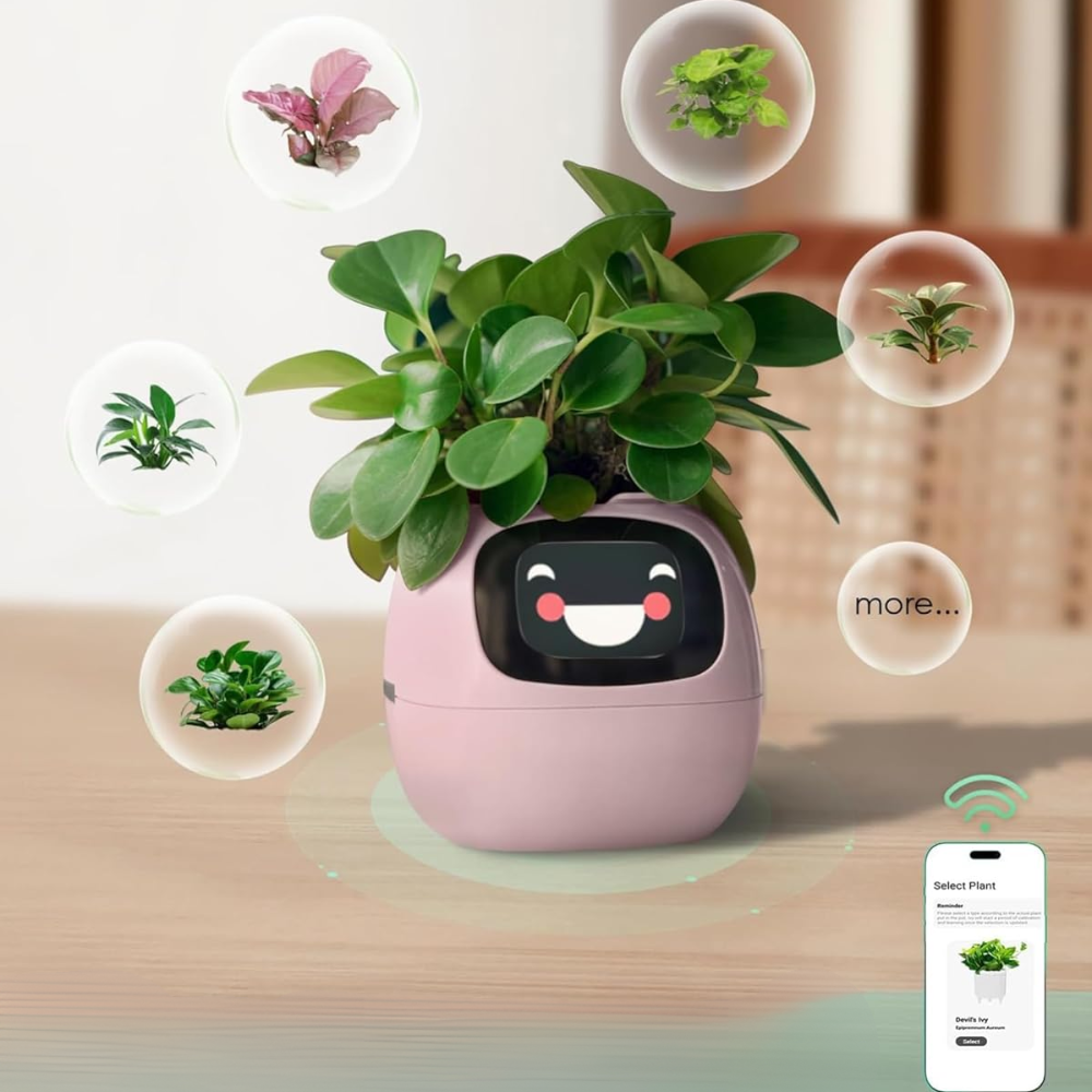 HappyPlanty