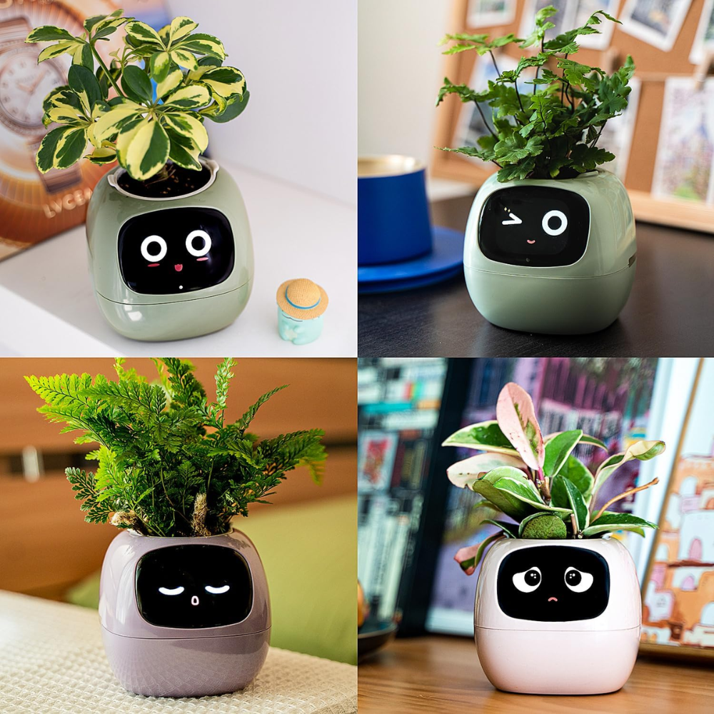 HappyPlanty