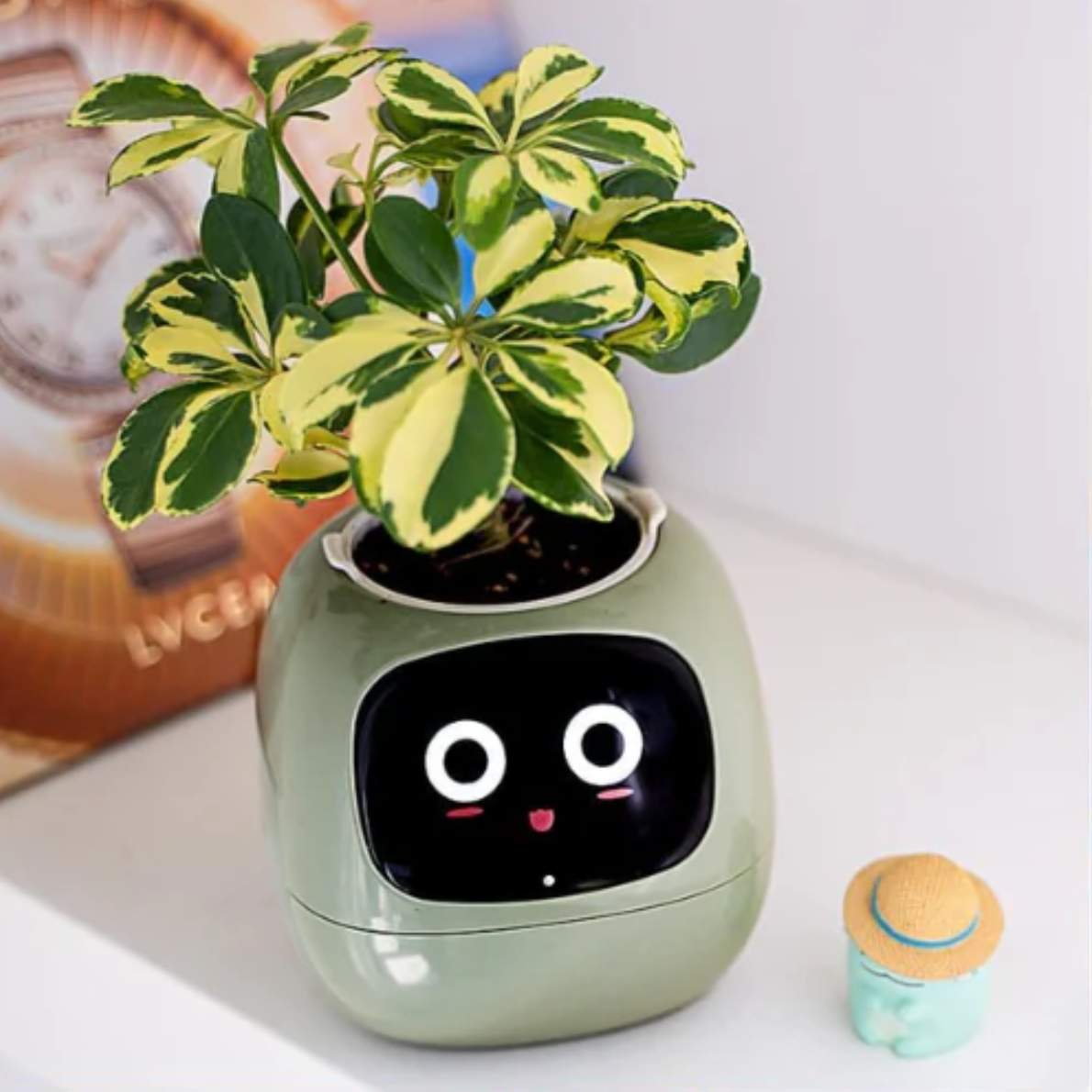 HappyPlanty
