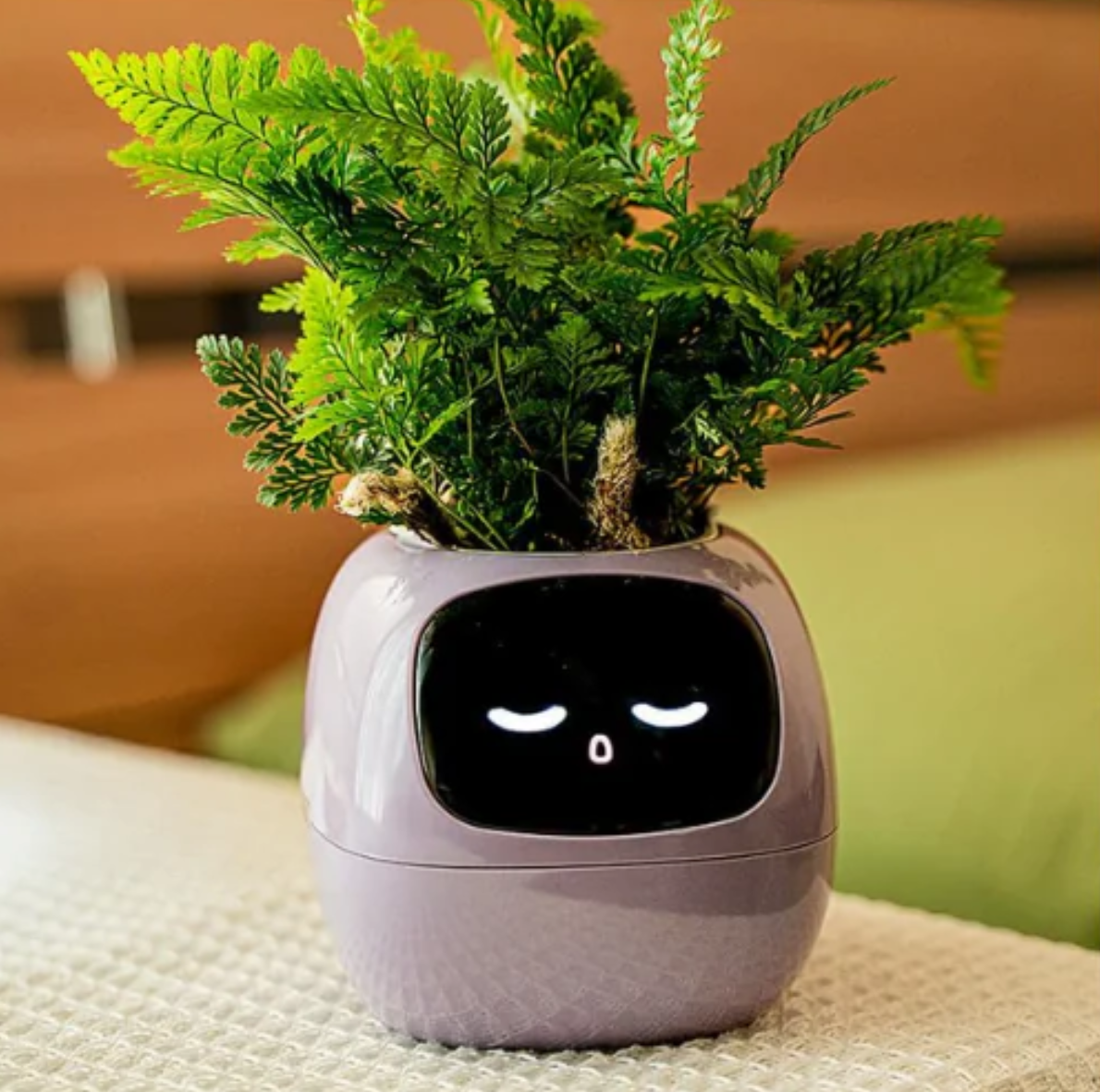 HappyPlanty