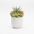 Plante artificielle ultra-réaliste en pot céramique blanc